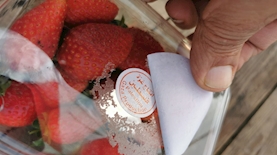 תותים שהוברחו לישראל מרצועת עזה, צילום: משרד החקלאות